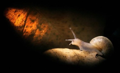 Vượt qua mặc cảm ảnh 2 mặc cảm.jpg