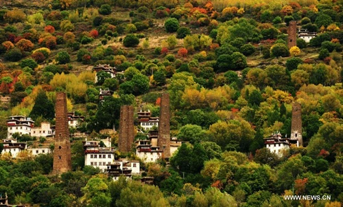 Mùa thu vàng về trên Tây Tạng