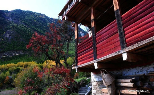 Mùa thu vàng về trên Tây Tạng