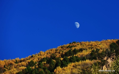 Mùa thu vàng về trên Tây Tạng