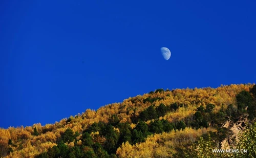 Mùa thu vàng về trên Tây Tạng