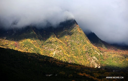 Mùa thu vàng về trên Tây Tạng
