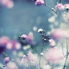 Vài gạch đầu dòng cho một buổi chiều ảnh 1 whinhminhhoaimages.jpg