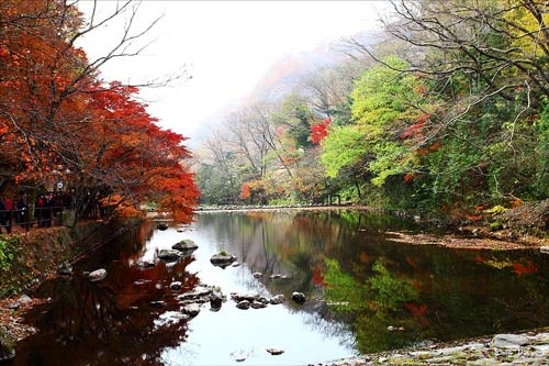 Đắm mình trong cảnh đẹp mùa thu xứ Hàn