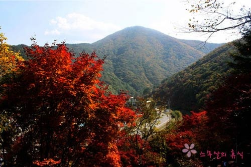 Đắm mình trong cảnh đẹp mùa thu xứ Hàn