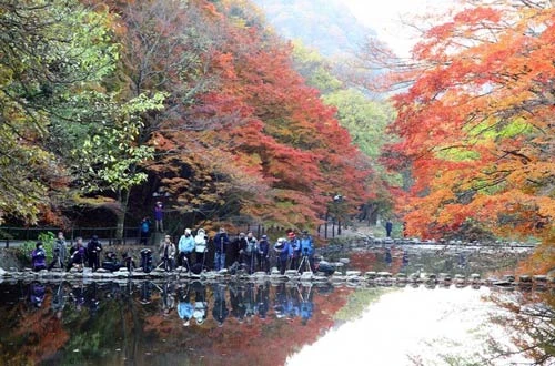 Đắm mình trong cảnh đẹp mùa thu xứ Hàn