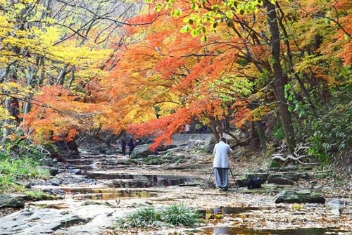 Đắm mình trong cảnh đẹp mùa thu xứ Hàn