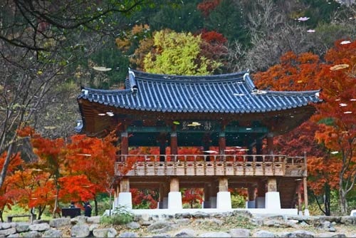 Đắm mình trong cảnh đẹp mùa thu xứ Hàn