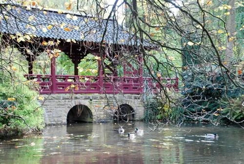 Thu quyến rũ - Ảnh: Trung Uyên