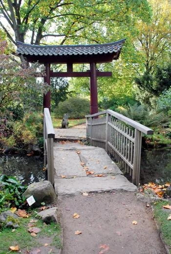 Những chiếc cầu nhỏ thế này có khá nhiều trong vườn Nhật Bản - Ảnh: Trung Uyên