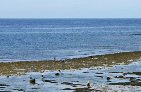 Ấn tượng chùa Đục, chùa Hang trên đảo Lý Sơn ảnh 19