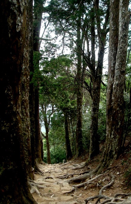 Những di sản hoang phế tuyệt đẹp trong đại ngàn Yên Tử