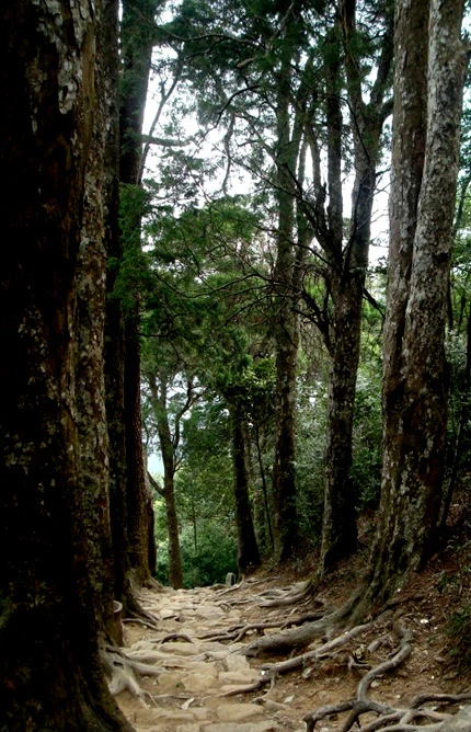 Những di sản hoang phế tuyệt đẹp trong đại ngàn Yên Tử