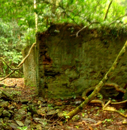 Những di sản hoang phế tuyệt đẹp trong đại ngàn Yên Tử