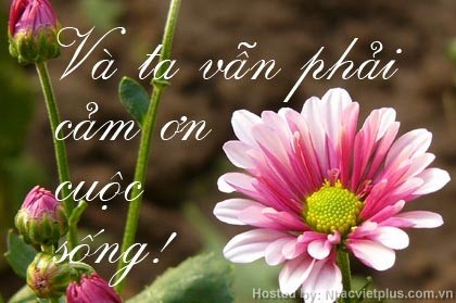 Lắng nghe thời gian trôi ảnh 1 va-ta-phai-cam-on-cuoc-song.jpg