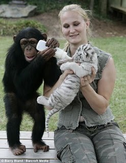 Phật tánh của tinh tinh ảnh 3 tinh 3.jpg