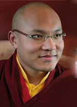 Ô nhiễm môi trường dưới cái nhìn của Phật giáo ảnh 2 karmapa.jpg