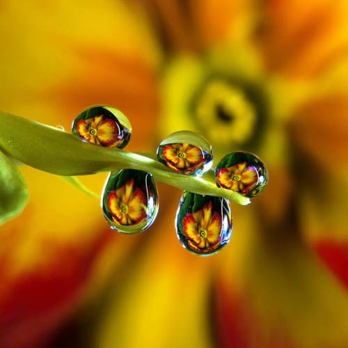 Giọt nước nhỏ ảnh 1 1_200908050250225JMNr.jpg