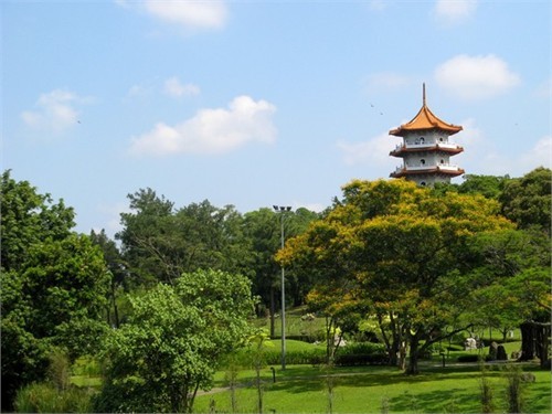 Có hai cửa để vào Chinese Garden: một cổng phụ từ ga tàu điện cùng tên và một cổng chính ở phía Tây. Nằm ngay gần cổng chính là cây cầu White Rainbow – cầu vồng trắng. Đúng như tên gọi của nó, thành cây cầu này sơn hoàn toàn bằng một màu trắng sang trọng, nó mô phỏng phong cách cây cầu 17-Arch trong cung điện Mùa hè ở Bắc Kinh. Đứng trên Cầu Vồng Trắng sẽ dễ dàng quan sát thấy chùa tháp đôi – Twin Pagodas tráng lệ được xây dựng nổi trên mặt hồ cách đó không xa. Đi qua Cầu Vồng Trắng là đến một khu nhà với nhiều khung cửa tò vò - kiểu kiến trúc nổi tiếng và tiêu biểu của Trung Hoa. Ngay sau khu cửa chính của tòa nhà này là một ao cá nhỏ mang tên “Thiên đường của những chú cá”. Người ta cũng dành riêng một phần không gian để làm bảo tàng rùa sống. Tại đây còn có hai khoảng sân chung nằm giữa các gian nhà – kiểu sân phổ biến ở những ngôi nhà Trung Hoa truyền thống. Hình ảnh Tea house – ngôi nhà để thưởng thức trà trong khuôn viên Chinese garden. Nó là kiến trúc thu nhỏ dựa theo phong cách thiết kế cầu kỳ của phòng trưng bày nghệ thuật xoáy trôn ốc ở cung điện Mùa hè (Bắc Kinh). Ngồi tại Tea house có thể ngắm nhìn Stone boat – cũng là một kiểu kiến trúc truyền thống đặc trưng của Trung Hoa nằm chênh chếch trên mặt hồ phía đối diện. Đây là hình ảnh nhìn từ phía ngoài vườn bonsai trong Chinese garden. Khu này bắt đầu mở cửa vào tháng 6 năm 1992 và được đầu tư không ít tiền của để trở thành vườn Bonsai tầm cỡ thế giới với hàng ngàn chậu bonsai được nhập khẩu chủ yếu từ Trung Quốc cùng các chuyên gia hàng đầu trong lĩnh vực này. Do nằm trên hai hòn đảo thuộc hồ Jurong nên khuôn viên Chinese garden có rất nhiều cầu: từ những chiếc cầu lớn cho đến những chiếc cầu be bé xinh xinh tô điểm cho khung cảnh thêm nên thơ. Chiếc cầu này nằm trong “Garden of Abundance” – khu vườn phồn thịnh. Nơi đây có trồng cây lựu một trăm năm tuổi và trưng bày tượng đá mười hai con giáp. Ngọn tháp vươn lên phía sau những bóng cây xanh mướt mát là tháp Nhập vân. Tòa tháp này gồm bảy tầng và được thiết kế phỏng theo một ngôi chùa ở Nam Kinh (Trung Quốc). Leo lên đỉnh tháp Nhập Vân có thể ngắm nhìn bao quát toàn bộ khuôn viên Chinese Garden. Trong hình là chiếc cầu nối giữa Chinese Garden và Japanese Garden. Dọc bên con đường gần tháp Nhập Vân là tượng của tám vị anh hùng Trung Hoa cổ đại. Không gian xanh thanh bình của một trong những công viên nổi tiếng nhất trên đảo quốc Sư tử. Thăm vườn Trung Hoa ở Singapore