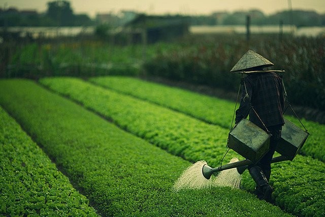 Hạnh phúc cũng cần phải học ảnh 2 226858_204102462962050_135610039811293_509560_3992984_n.jpg