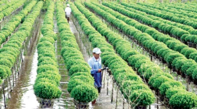 Phương Nam khoe sắc ảnh 1