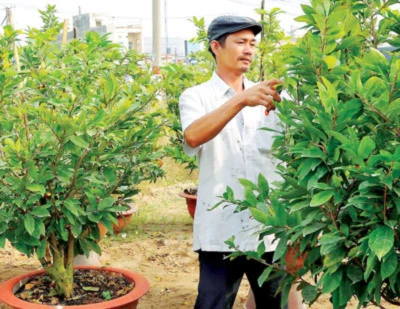 Phương Nam khoe sắc ảnh 3