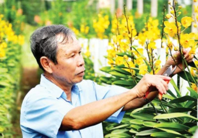 Phương Nam khoe sắc ảnh 4