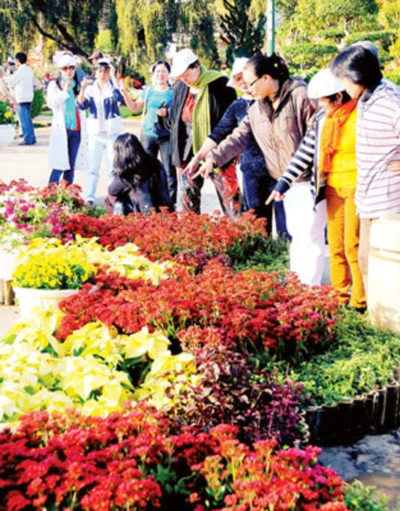 Phương Nam khoe sắc ảnh 5