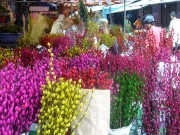 Chọn hoa, cây cảnh cho nhà đẹp ngày Tết ảnh 3 knd1325859773.jpg