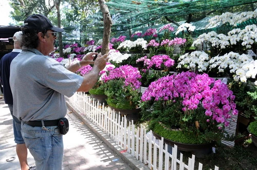 Du khách quốc tế thích thú chụp hình các loại hoa lan - Ảnh: Minh Đức