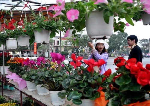 Hoa đẹp chủ yếu nằm ở gian hàng hoa Đà Lạt - Ảnh: Tiến Long