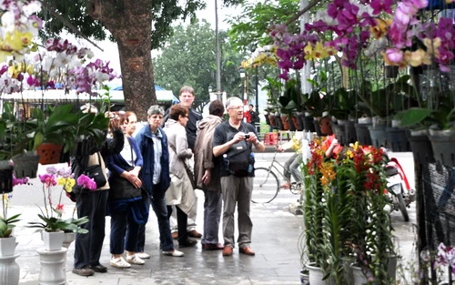 Du khách nước ngoài rất thích thú dạo chợ hoa Tết Huế - Ảnh: Tiến Long