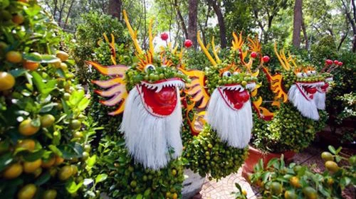 Những chậu quất hình rồng trở thành tâm điểm của chợ hoa Tết năm nay, với chiều dài 2,4m, chiều cao 1,6m do các nghệ nhân Bến Tre chăm sóc và thiết kế - Ảnh: Tiến Thành