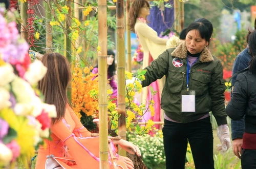 Các nghệ nhân hoàn tất phần trang trí cuối cùng trong không gian nghệ thuật "Tứ quý áo dài"