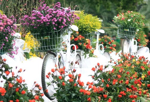 Không gian nghệ thuật của "Xe đạp và hoa" đã được hoàn tất Không gian nghệ thuật của "Xe đạp và hoa" đã được hoàn tất