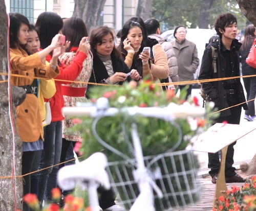 Lung linh sắc màu "Hà Nội điểm hẹn phố và hoa" ảnh 8