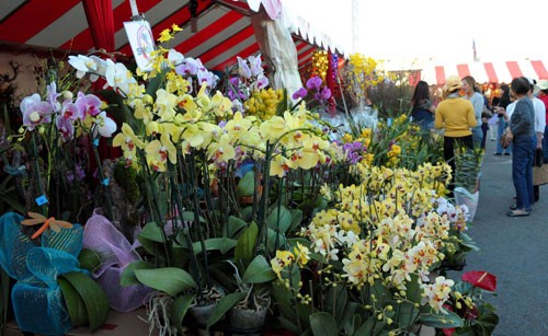 Chợ tết ở Little Sài Gòn ảnh 1