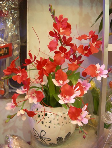 hoadat7.jpg