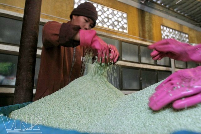 Những tấm lòng thơm thảo ảnh 2