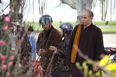 Cả các tăng ni cũng ghé chợ chọn những cây đào, mai đẹp về trưng trong chùa ngày tết.