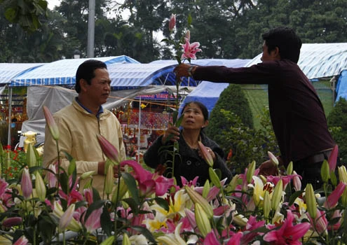 Hoa lưu ly cũng hút khách không kém. Một khách hàng mua loại hoa này cho biết hoa lưu ly dễ trang trí trong nhà hơn nhiều loại hoa khác.