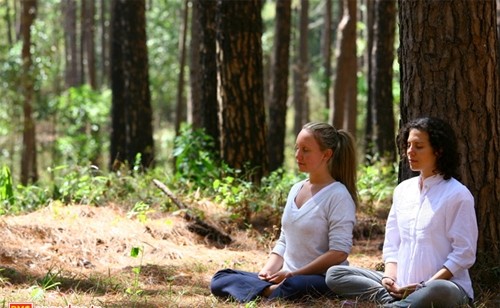 MeditationB.jpg