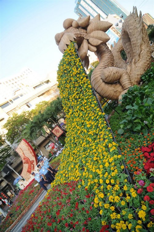 Tưng bừng khai mạc đường hoa Nguyễn Huệ ảnh 14 Tưng bừng khai mạc đường hoa Nguyễn Huệ ảnh 14