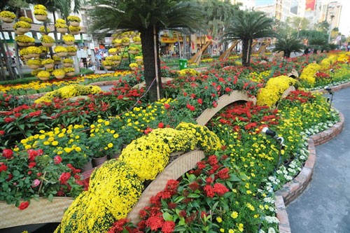 Tưng bừng khai mạc đường hoa Nguyễn Huệ ảnh 24 Tưng bừng khai mạc đường hoa Nguyễn Huệ ảnh 24