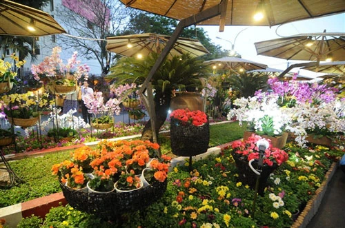 Tưng bừng khai mạc đường hoa Nguyễn Huệ ảnh 21