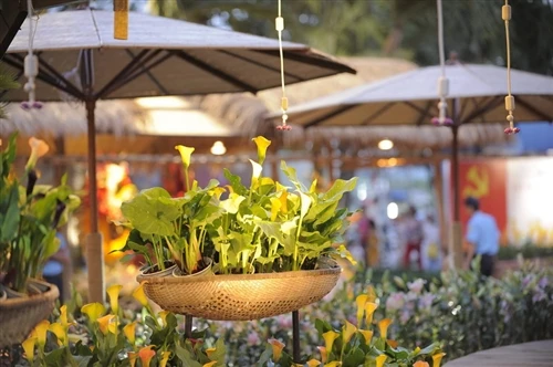 Tưng bừng khai mạc đường hoa Nguyễn Huệ ảnh 25