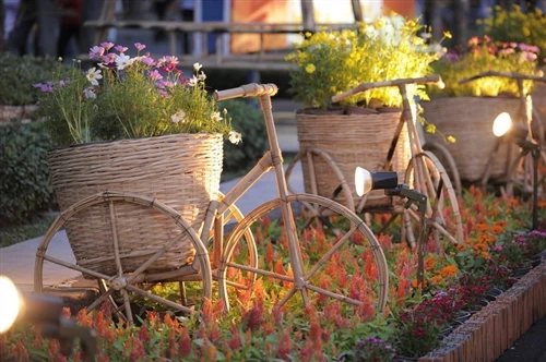 Tưng bừng khai mạc đường hoa Nguyễn Huệ ảnh 18