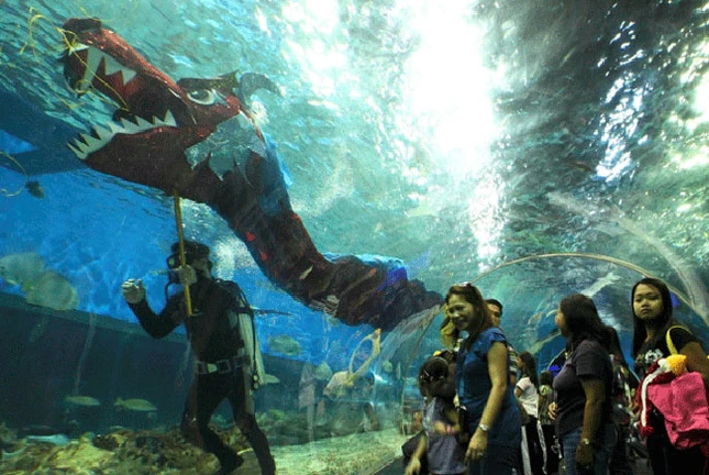 Tại TP.HCM, hình ảnh con rồng tràn ngập các đường phố khu trung tâm. Trong ảnh là mô hình rồng tại đường hoa Nguyễn Huệ. Ảnh: Hồng Thái Ở cuối đường hoa Nguyễn Huệ, hình ảnh con rồng lại được thể hiện bằng tre. Ảnh: Hồng Thái Các công nhân đang lau dọn trần của một ngôi chùa tại Jakarta ngày 21.1 (ngày 28 tháng chạp) để chuẩn bị đón tết. Reuters Du khách đang xem múa rồng dưới nước tại công viên nước Ocean Park, Manila, Philippines. Reuters Tại Thượng Hải (Trung Quốc), người ta hy vọng năm rồng sẽ đem lại nhiều may mắn và thuận lợi trong kinh doanh. Reuters Người Campuchia gốc Hoa tại Phnom Penh tập dượt múa rồng để chuẩn bị chào năm mới theo tết Trung Quốc. Reuters Tại Singapore, hình ảnh con rồng trong những ngày này cũng tràn ngập các đường phố, nhất là các khu có số lượng lớn người gốc Hoa sinh sống. Reuters Căp rồng khổng lồ được làm bằng hoa tươi và hoa khô tại cổng chính hội hoa xuân Nhâm Thìn 2012, TP.HCM. Ảnh: Hồng Thái Các nghệ nhân tò he thể hiện hình ảnh con rồng tại đường hoa Nguyễn Huệ, TP.HCM. Ảnh: Hồng Thái