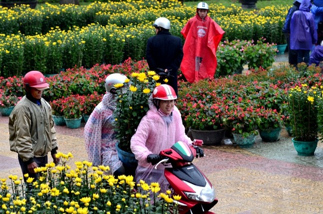 Cố đô Huế ngày cuối năm ảnh 6 IMG_27780.jpg
