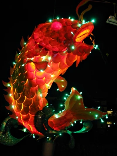 Rực rỡ sắc màu đèn lồng trong đêm giao thừa ảnh 15